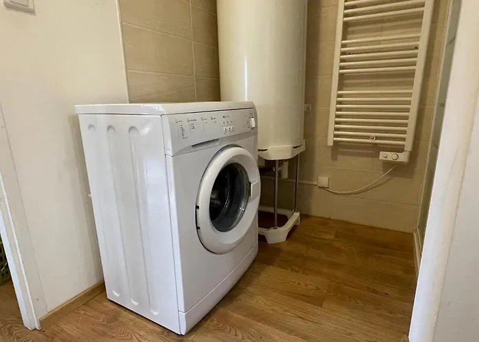 Maison Bois Du Bassin